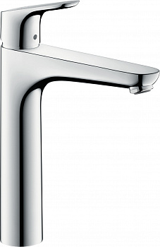  Hansgrohe Focus 31608000  