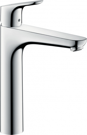  Hansgrohe Focus 31608000  