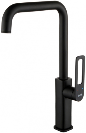  IDDIS Slide SLIBL00i05   