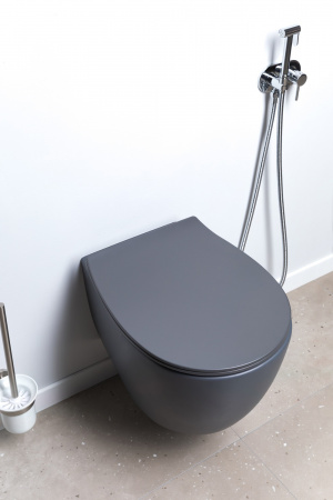 Унитаз подвесной Allen Brau Fantasy 4.11004.AN антрацит Унитаз подвесной Allen Brau Fantasy 4.11004.AN антрацит