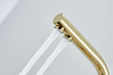  Paulmark Essen Es213011-G   , 