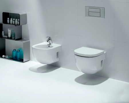 ������ ��������� Roca Meridian 346248000 �����������