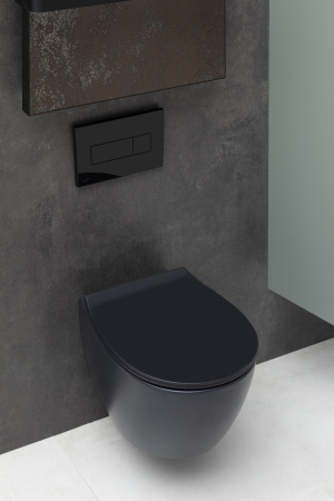 Унитаз подвесной Allen Brau Fantasy 4.11004.31 черный матовый Унитаз подвесной Allen Brau Fantasy 4.11004.31 черный матовый