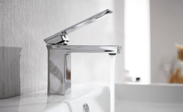  Bravat Phillis F156101C-ENG  