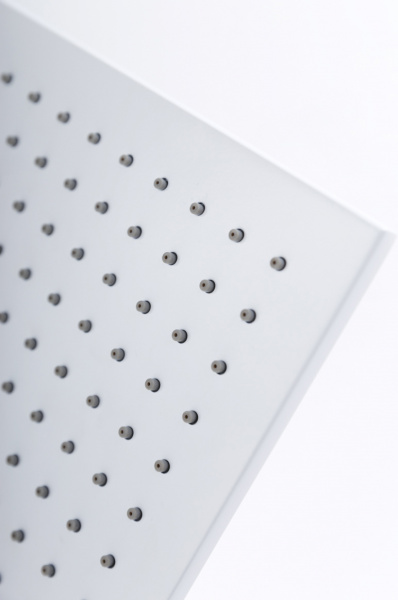   Cezares Porta TDDQ BIO