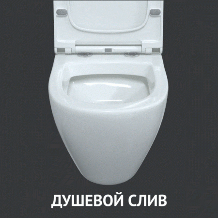 ����������� NOVUM 525, ������ R2, ������ OKUS, ������� ��������� Toma Slim SO  043276