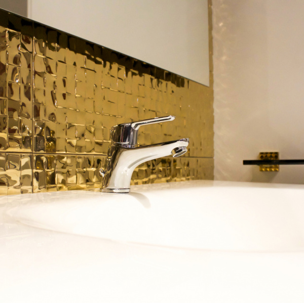  Clever Panam Evo Elegance 60535  