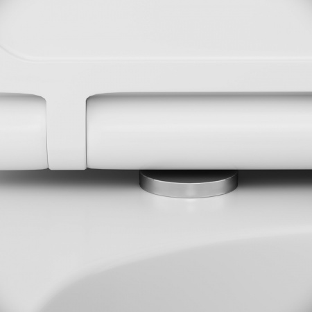 �������� AM.PM Inspire IS49051.501700 � �������� ��������� + ���������� AM.PM �� 30 ���� �������� �� �����������