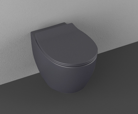 Унитаз подвесной Allen Brau Fantasy 4.11004.AN антрацит Унитаз подвесной Allen Brau Fantasy 4.11004.AN антрацит