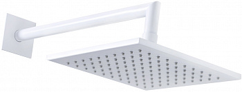   Cezares Porta TDDQ BIO