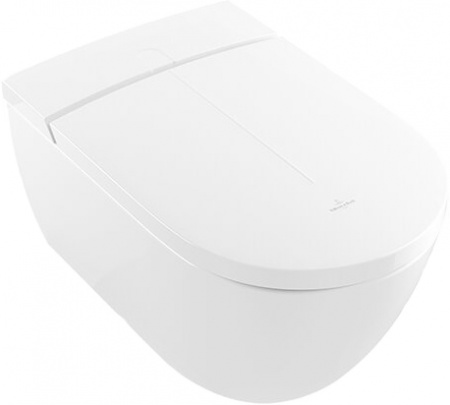     Villeroy & Boch Viclean V0E100R1  ,    +     Geberit Duofix 111.815.00.1   +     Geberit Duofix UP 320 111.300.00.5 +  