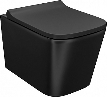   IDDIS Bild BILR2BMi25 ,  