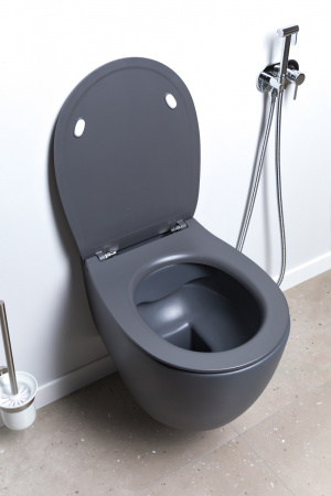 Унитаз подвесной Allen Brau Fantasy 4.11004.AN антрацит Унитаз подвесной Allen Brau Fantasy 4.11004.AN антрацит