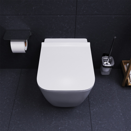 ������ ��������� Damixa Titan DX78C1700SC � �����������