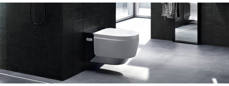 ������ ��������� Geberit AquaClean Mera Comfort 146.214.21.1 � �������� �������� �������, ��������� ����