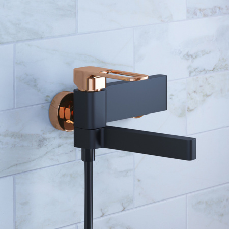  IDDIS Slide SLIBG00i02    