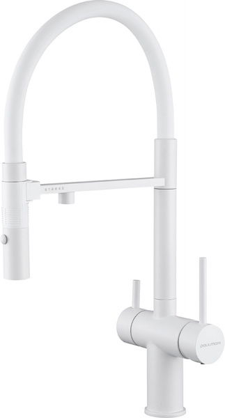  Paulmark Magneto Ma213118-431   ,  