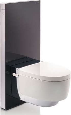 ������ ��������� Geberit AquaClean Mera Comfort 146.214.21.1 � �������� �������� �������, ��������� ����