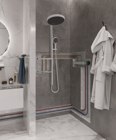  Hansgrohe RainSelect 15380700  ,  