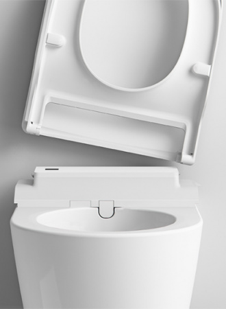 ��������  ������ ��������� Roca Inspira in-wash + ������� ����������� ��� �������� Roca Duplo Smart 890090800 P