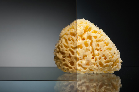   Vegas Glass ZP+ZPV 100*100 05 05 100 