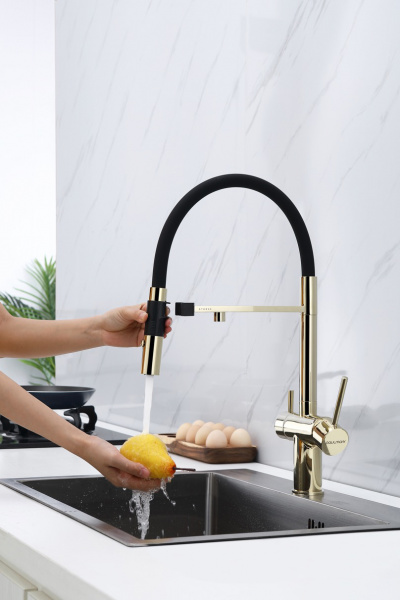  Paulmark Magneto Ma213118-G   , 