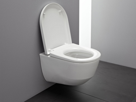��������  ������� ����������� ��� �������� Grohe Rapid SL 38775001 4 � 1 � ������� ����� + ������-������� Laufen Pro 8.9695.1.300.000.1 � �����������,