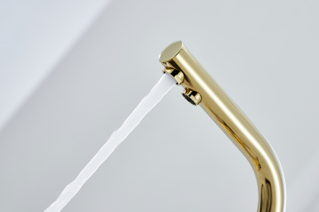  Paulmark Essen Es213011-G   , 