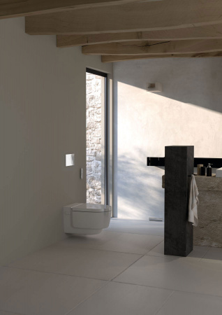 ������ ��������� Geberit AquaClean Mera Classic 146.204.11.1 ���������� �����