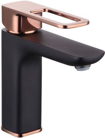  IDDIS Slide SLIBG00i01  