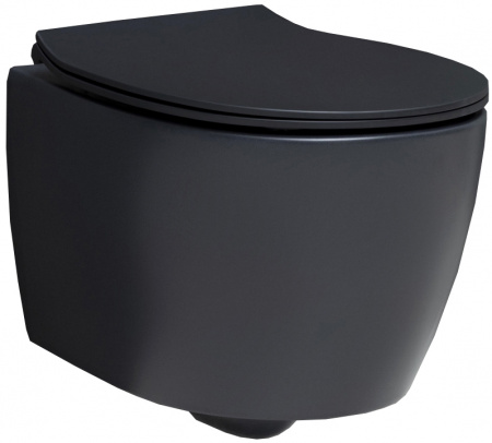 Унитаз подвесной Allen Brau Fantasy 4.11004.31 черный матовый Унитаз подвесной Allen Brau Fantasy 4.11004.31 черный матовый