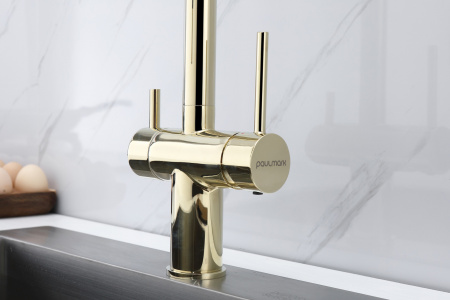  Paulmark Magneto Ma213118-G   , 