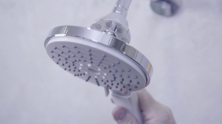 ������� �������� Swedbe Calypso 5013 � ��������� �����������