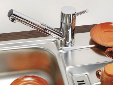  Alveus Cleo-P CHR 1088776   