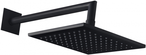   Cezares Porta TDDQ NOP