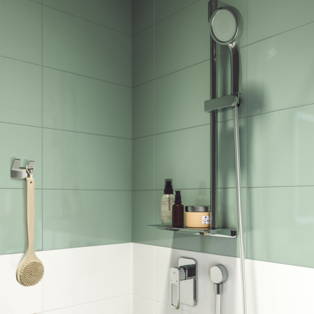  IDDIS Slide SLISB00i66   ,  