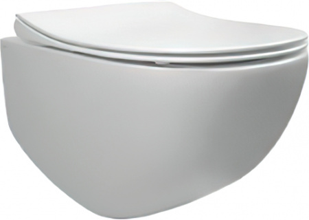Унитаз подвесной Pestan Fluenta Rimless 40006661 безободковый Унитаз подвесной Pestan Fluenta Rimless 40006661 безободковый