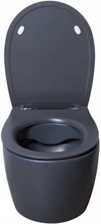 Унитаз подвесной Allen Brau Fantasy 4.11004.AN антрацит Унитаз подвесной Allen Brau Fantasy 4.11004.AN антрацит