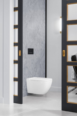 ������ ��������� Villeroy & Boch Antheus ���������� �����