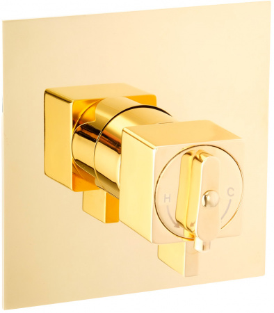  Migliore Kvant Gold 25404   ,  