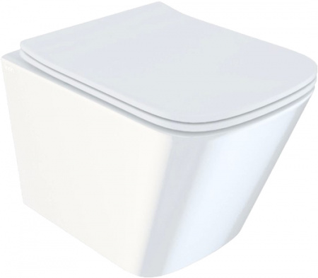 ������ ��������� IDDIS Bild BILRDSEi25 ������� � �����������