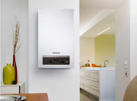   Buderus Logamax U044-24K (24 )