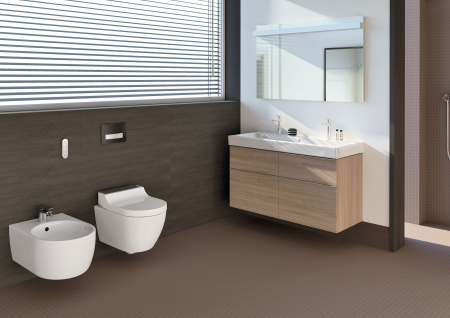 ������ ��������� Geberit AquaClean Tuma Comfort 146.294.SJ.1 ������� ������ ������