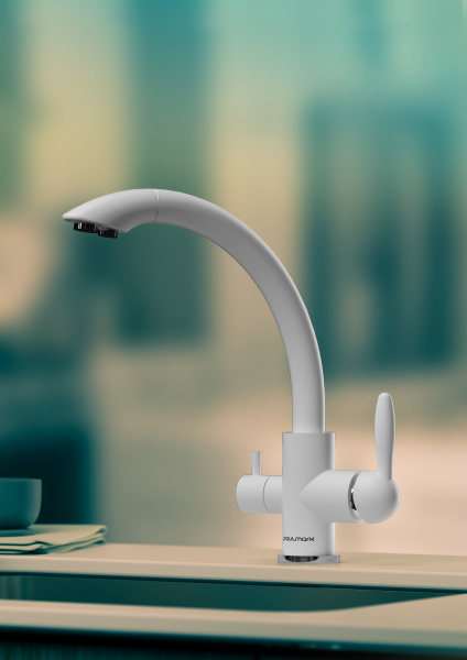  Paulmark Essen Es213001-431   ,  