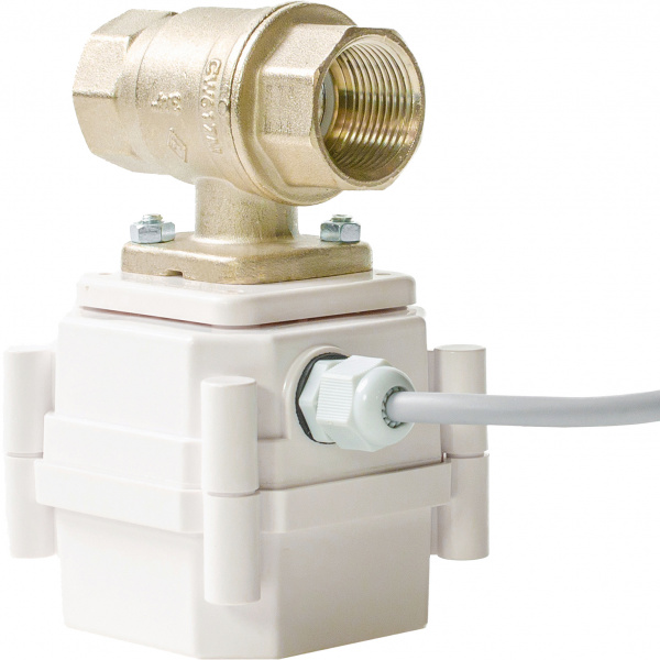     Gidrolock Radio + Wi-Fi 3/4"