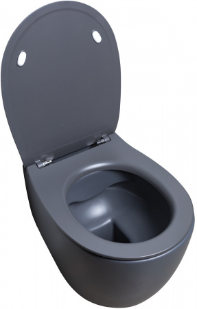 Унитаз подвесной Allen Brau Fantasy 4.11004.AN антрацит Унитаз подвесной Allen Brau Fantasy 4.11004.AN антрацит