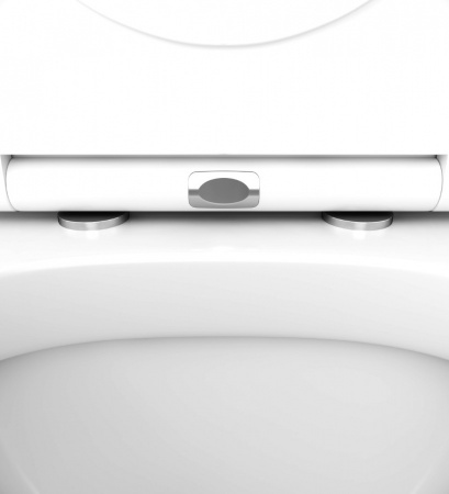 �������� AM.PM Spirit V2.0 IS47051.701738 � �������� ���������