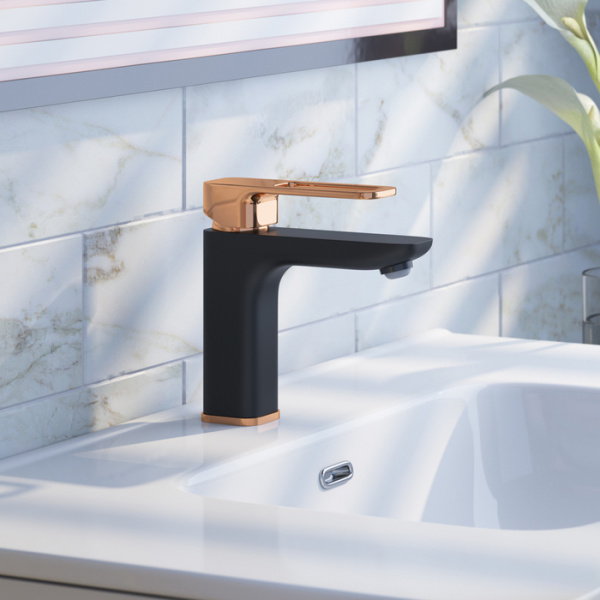  IDDIS Slide SLIBG00i01  