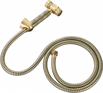 ������������� ��� Zorg Antic AZR P007 Bronze