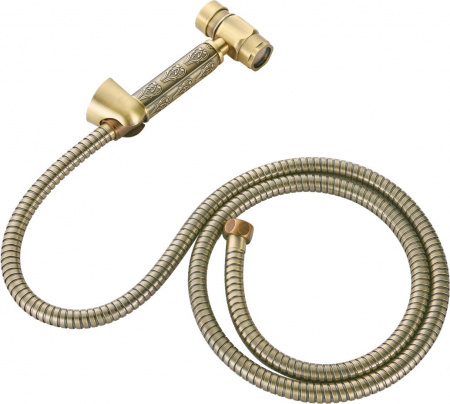 ������������� ��� Zorg Antic AZR P007 Bronze